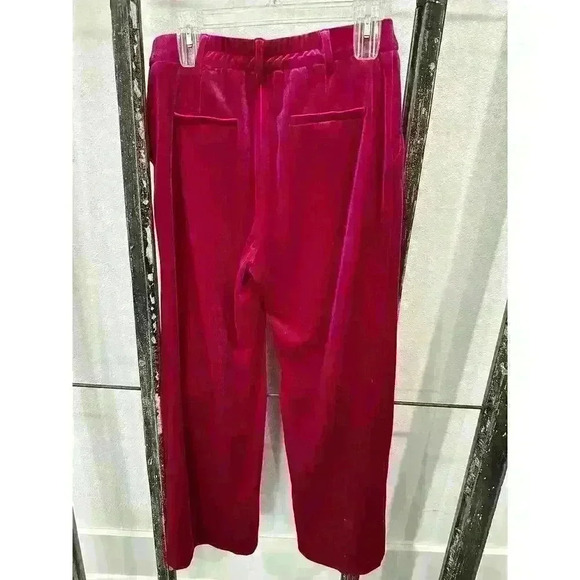 Skiis Are Blue Velvet Pants Sz Medium - Picture 2 of 6